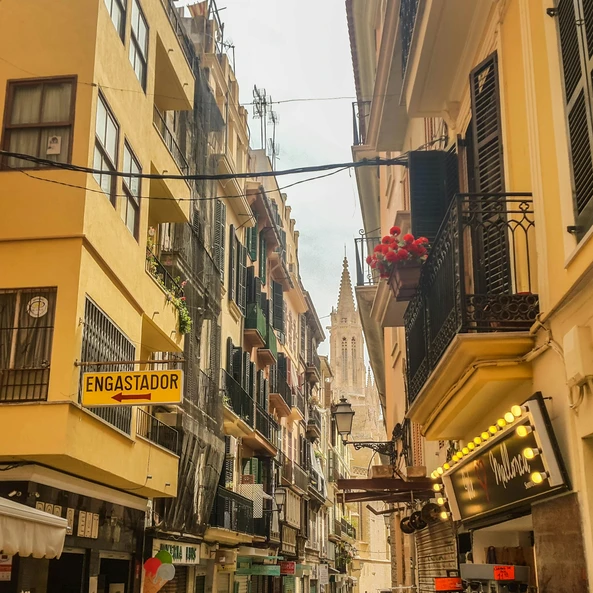wohnung mieten auf mallorca
